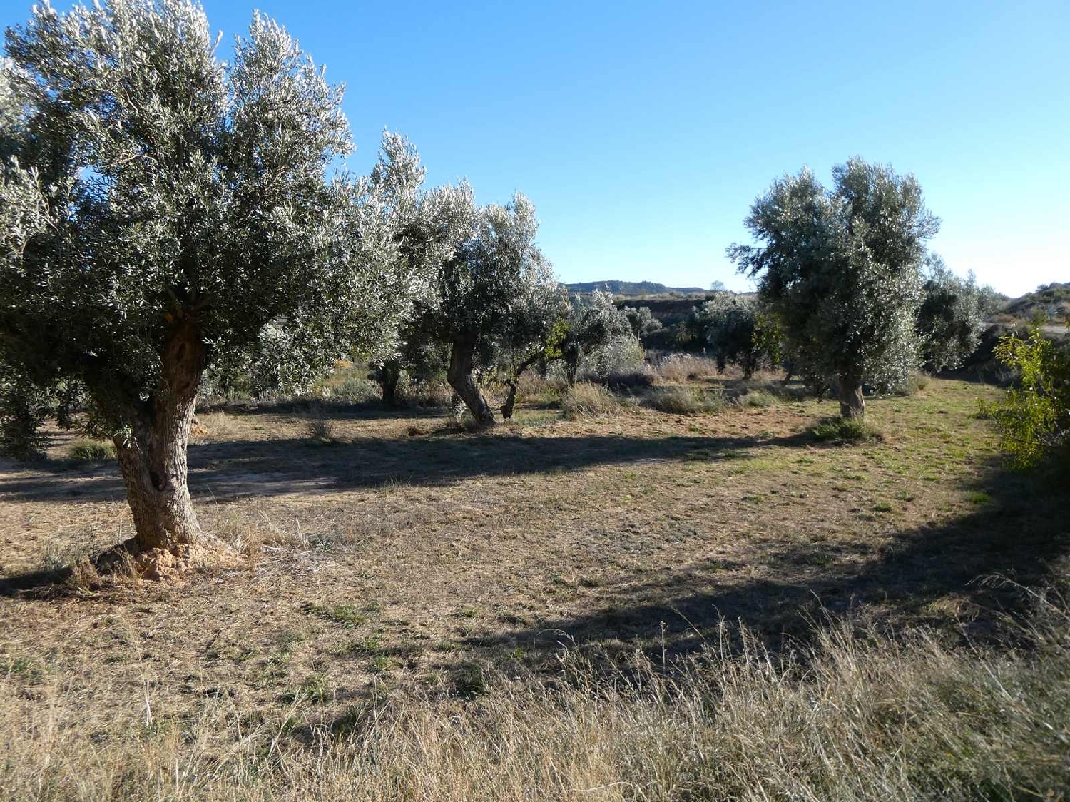  kaufen Landhaus Maella Bajo Aragón-Caspe 3