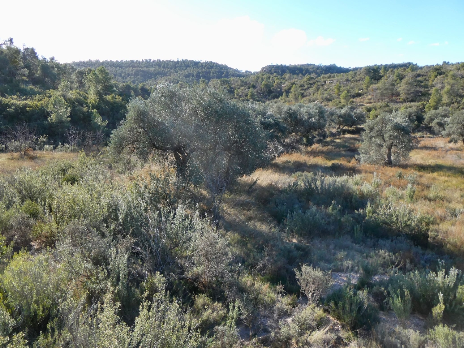  à vendre maison de campagne Maella Bajo Aragón-Caspe 13