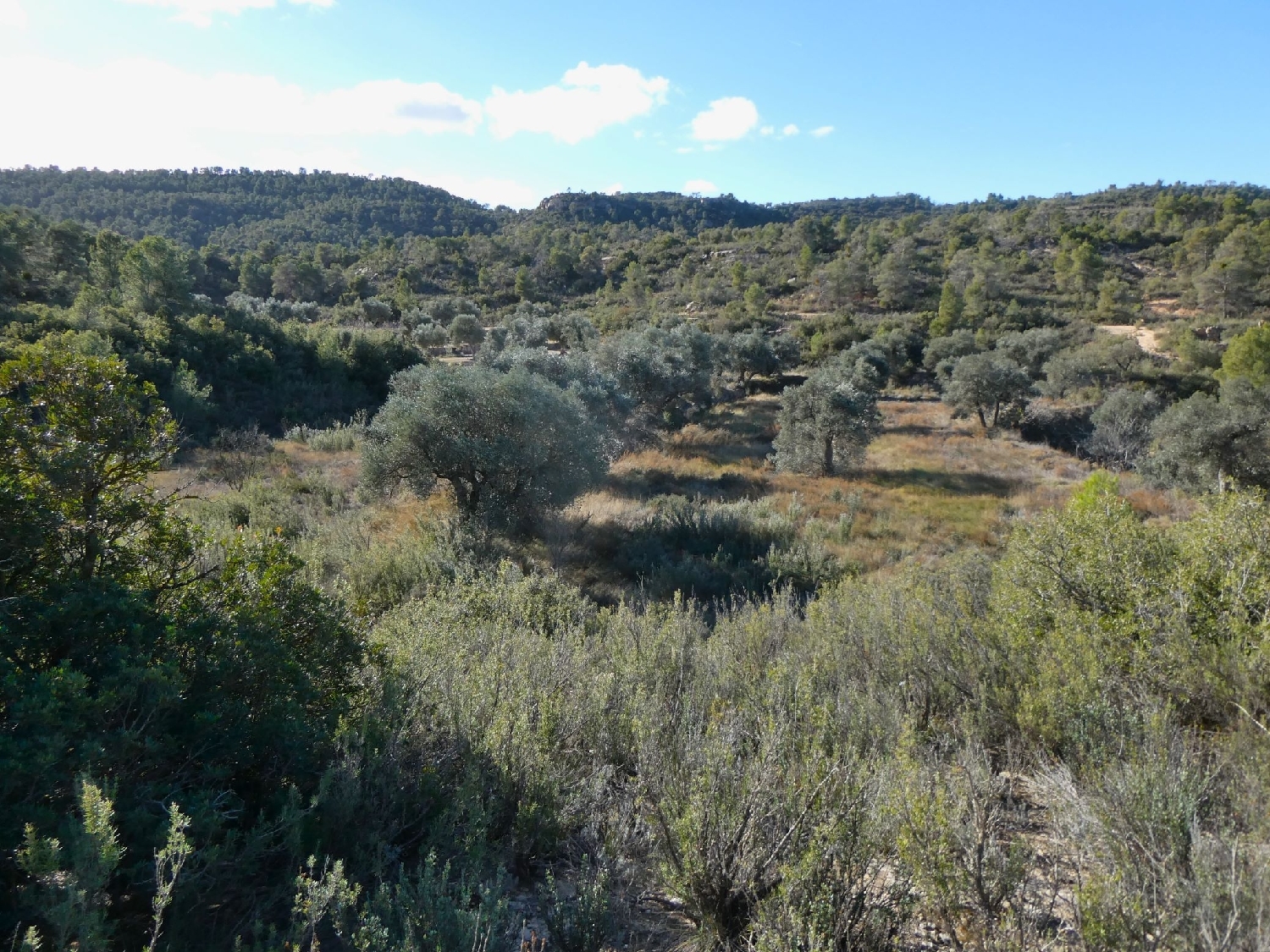  à vendre maison de campagne Maella Bajo Aragón-Caspe 15