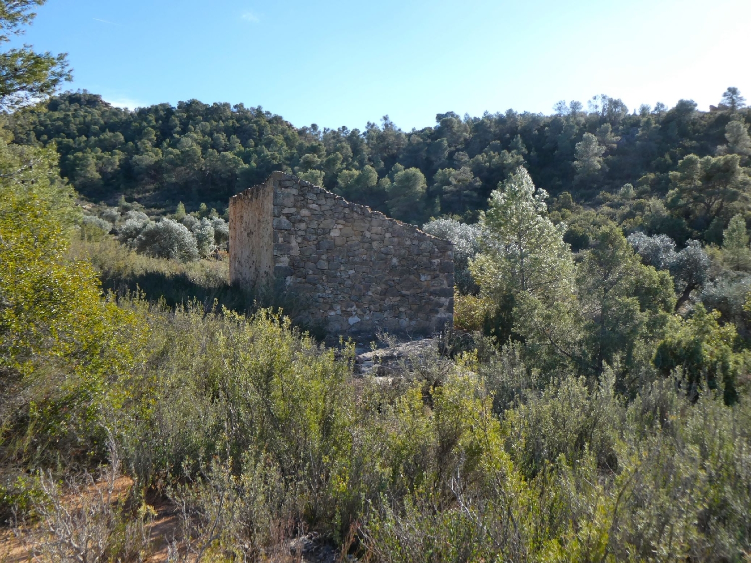  à vendre maison de campagne Maella Bajo Aragón-Caspe 10