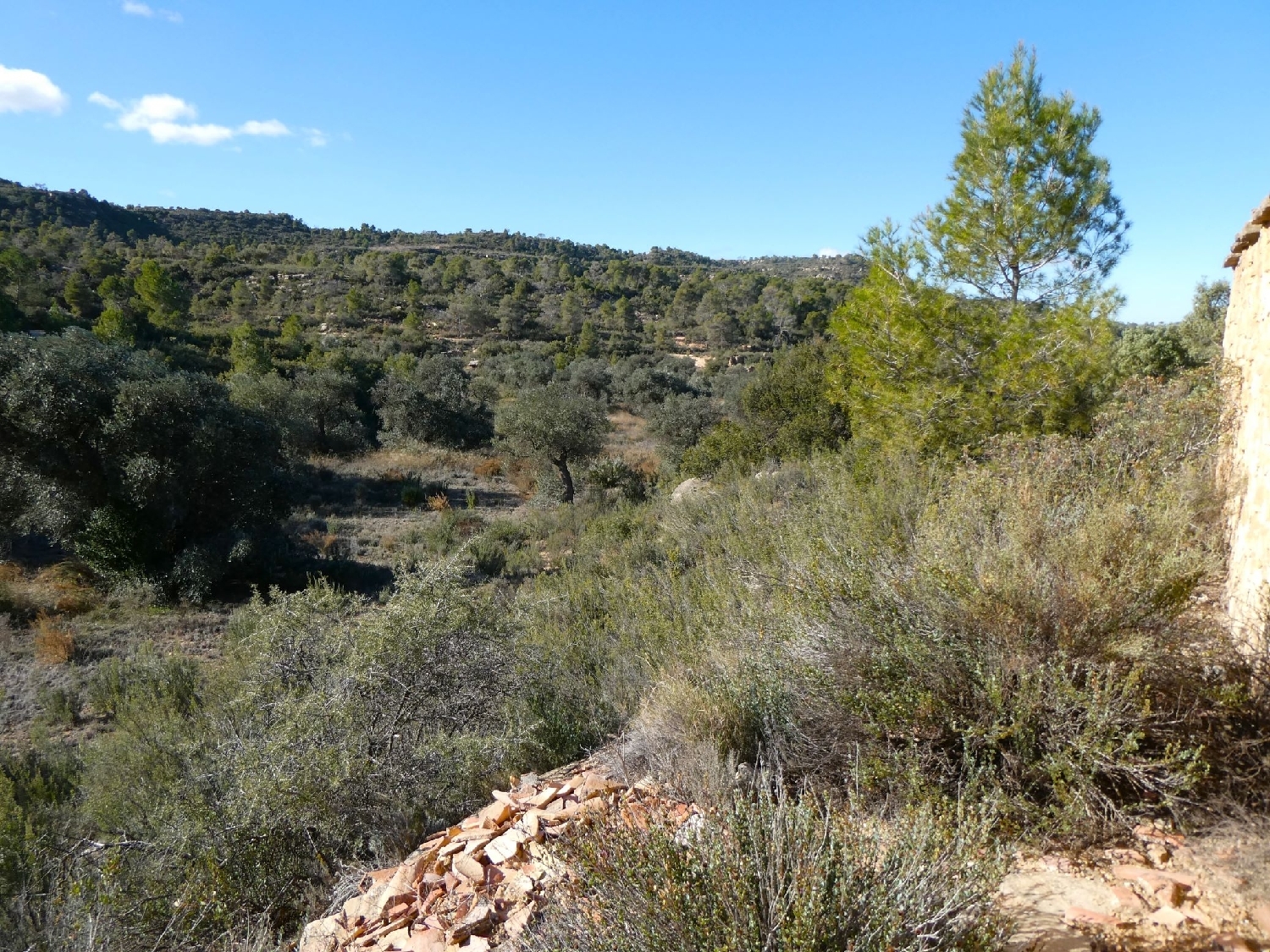  à vendre maison de campagne Maella Bajo Aragón-Caspe 6