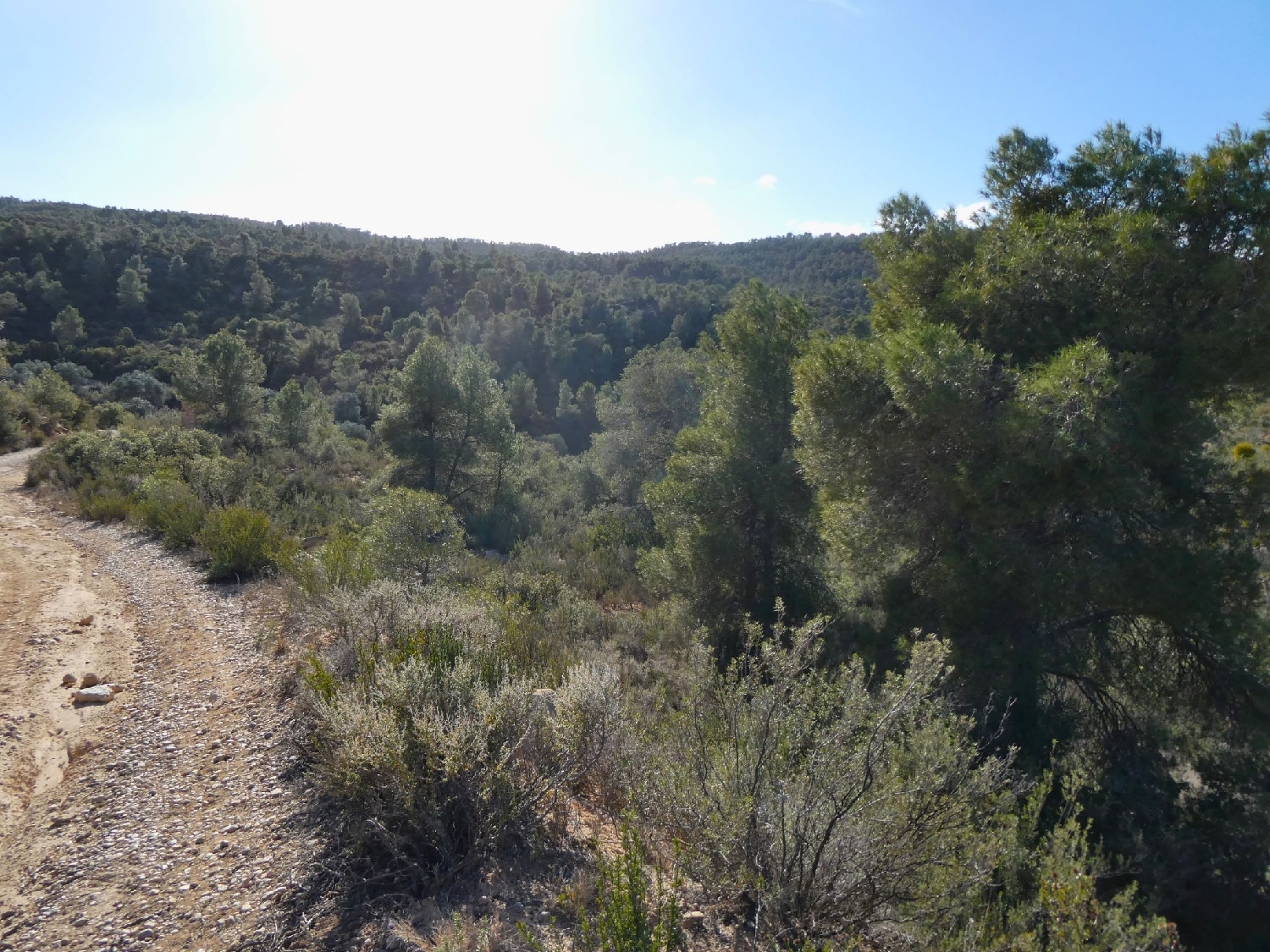  à vendre maison de campagne Maella Bajo Aragón-Caspe 2
