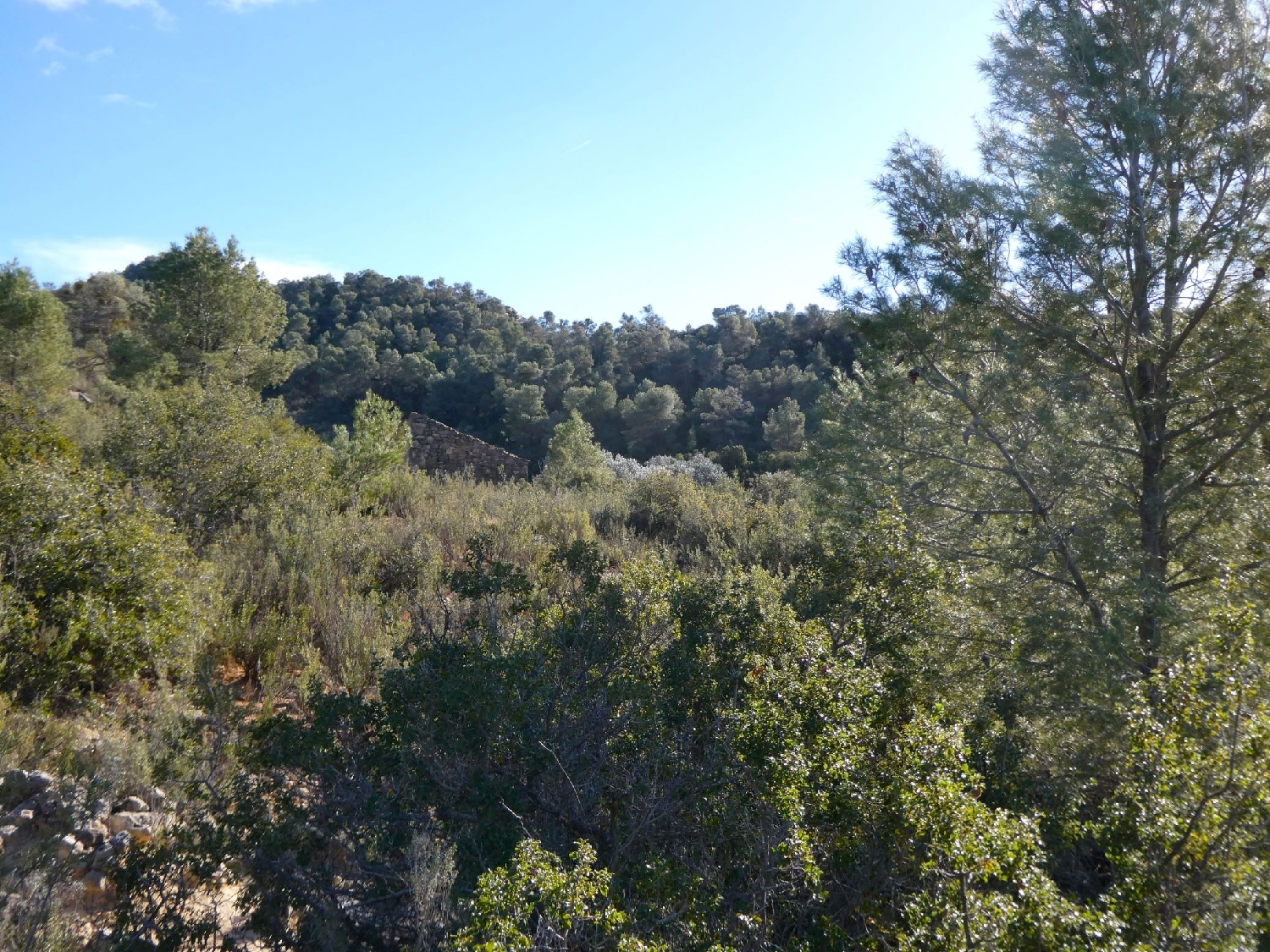  à vendre maison de campagne Maella Bajo Aragón-Caspe 11