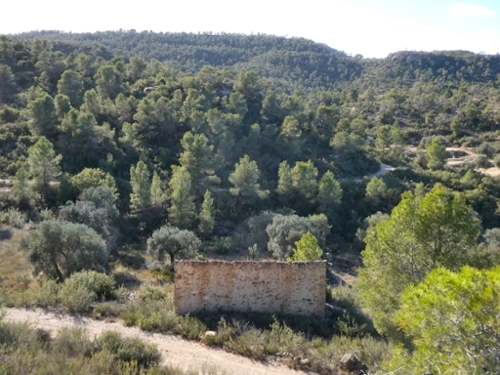 Maella Bajo Aragón-Caspe Landhaus Bild 6271104
