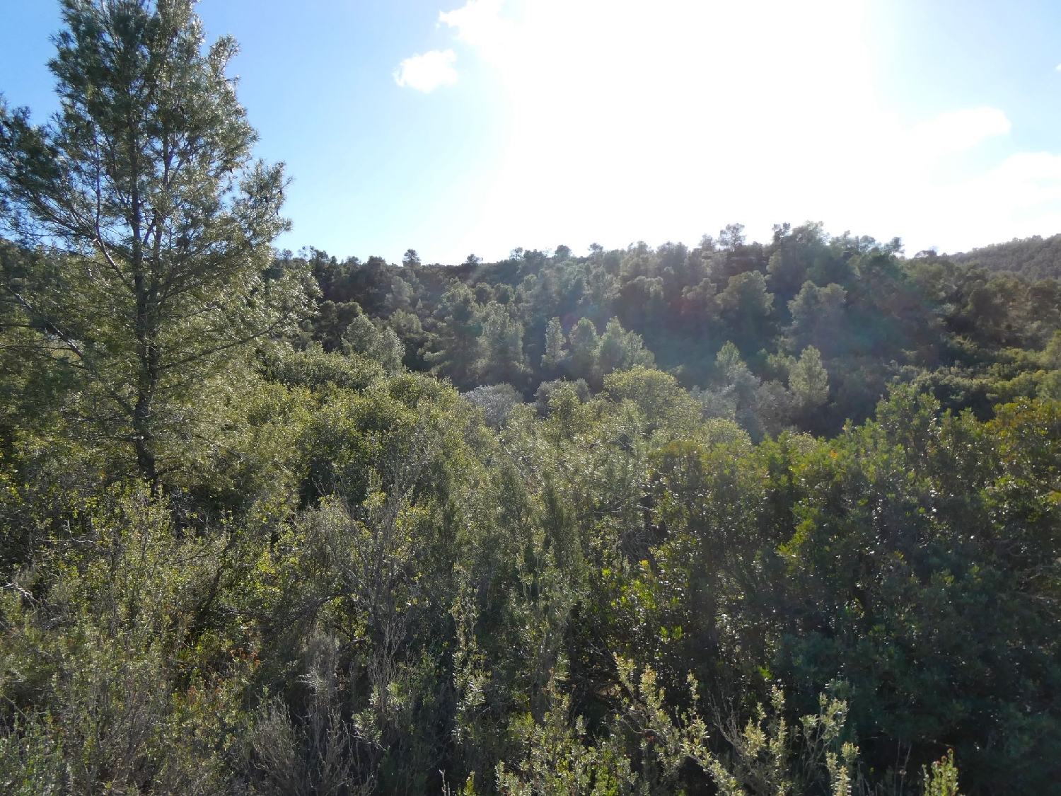  à vendre maison de campagne Maella Bajo Aragón-Caspe 12