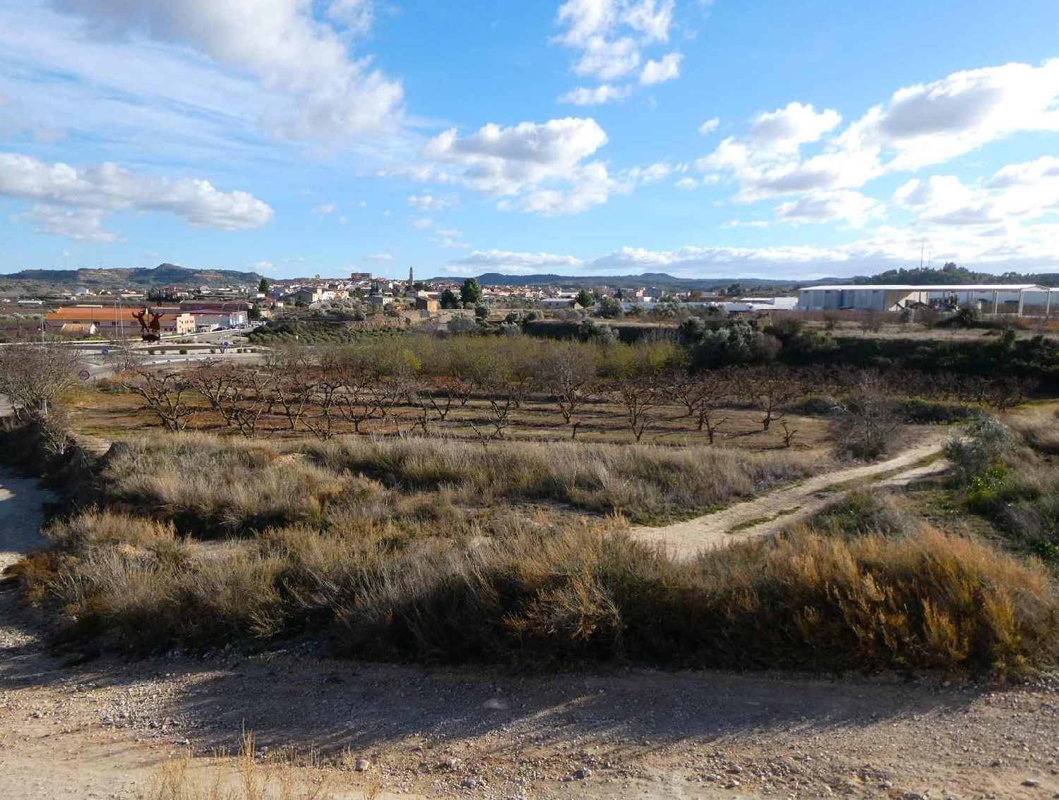  kaufen Landhaus Maella Bajo Aragón-Caspe 13