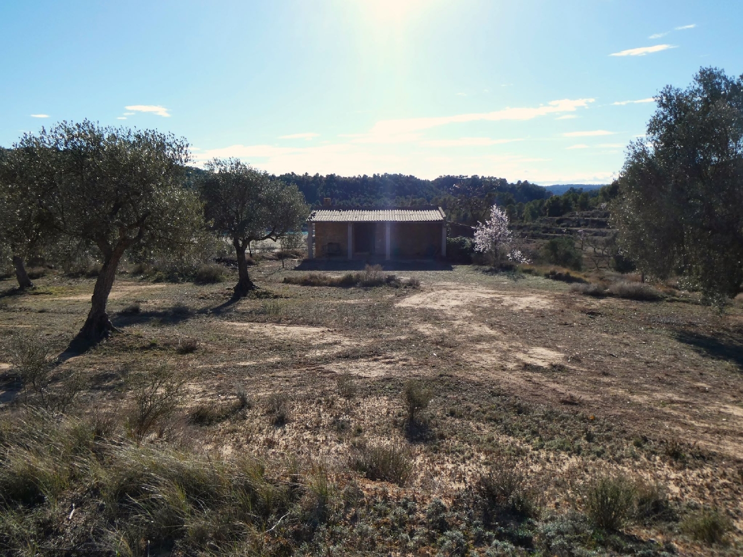  kaufen Landhaus Maella Bajo Aragón-Caspe 3