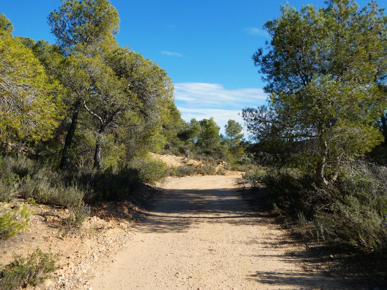  kaufen Landhaus Maella Bajo Aragón-Caspe 2