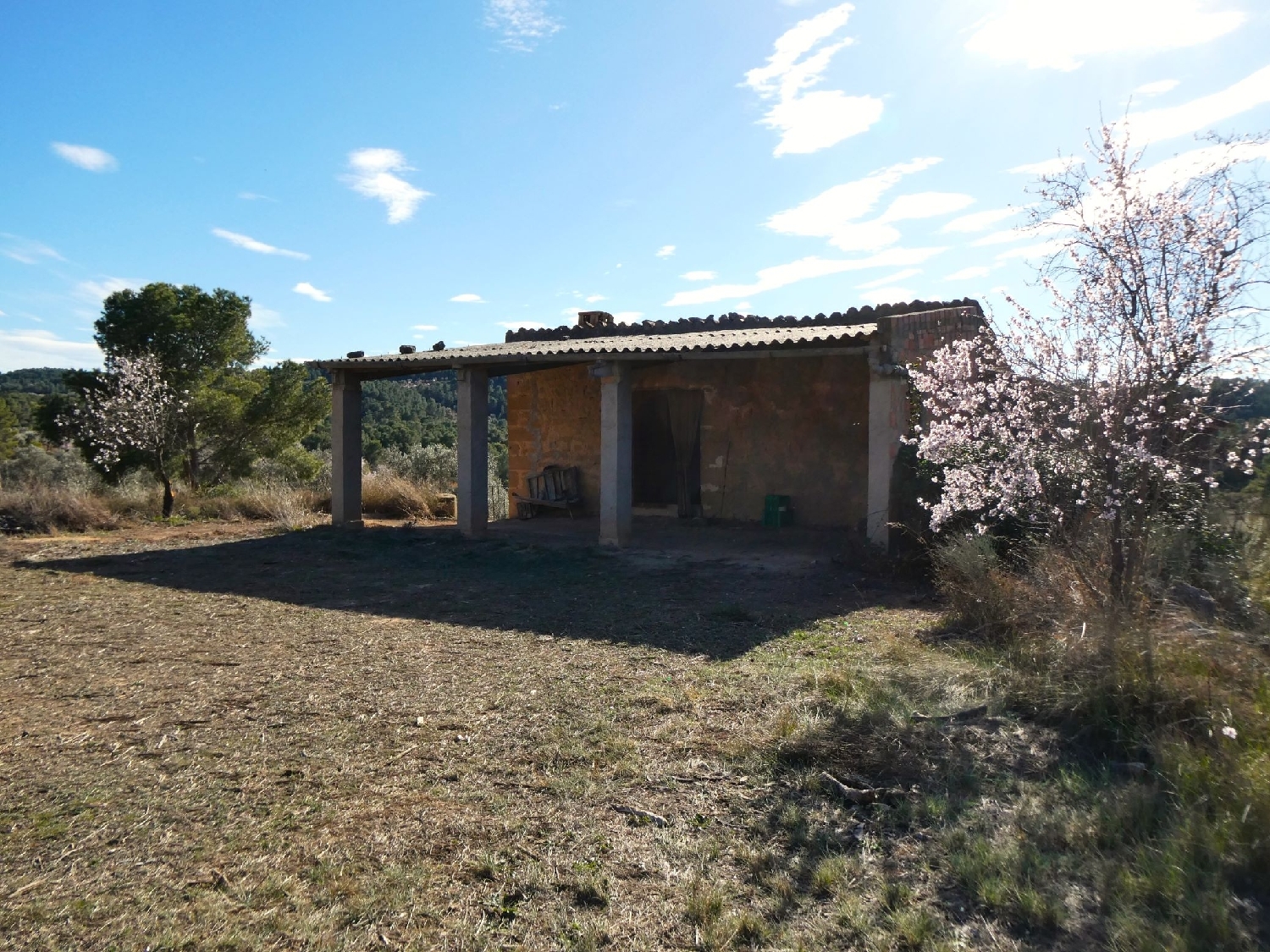  kaufen Landhaus Maella Bajo Aragón-Caspe 8