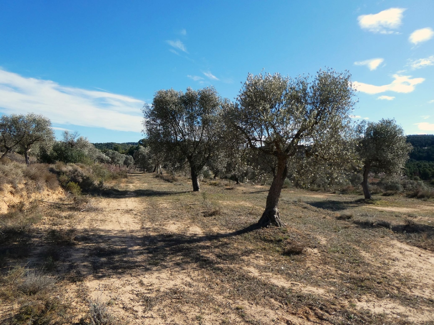  kaufen Landhaus Maella Bajo Aragón-Caspe 5
