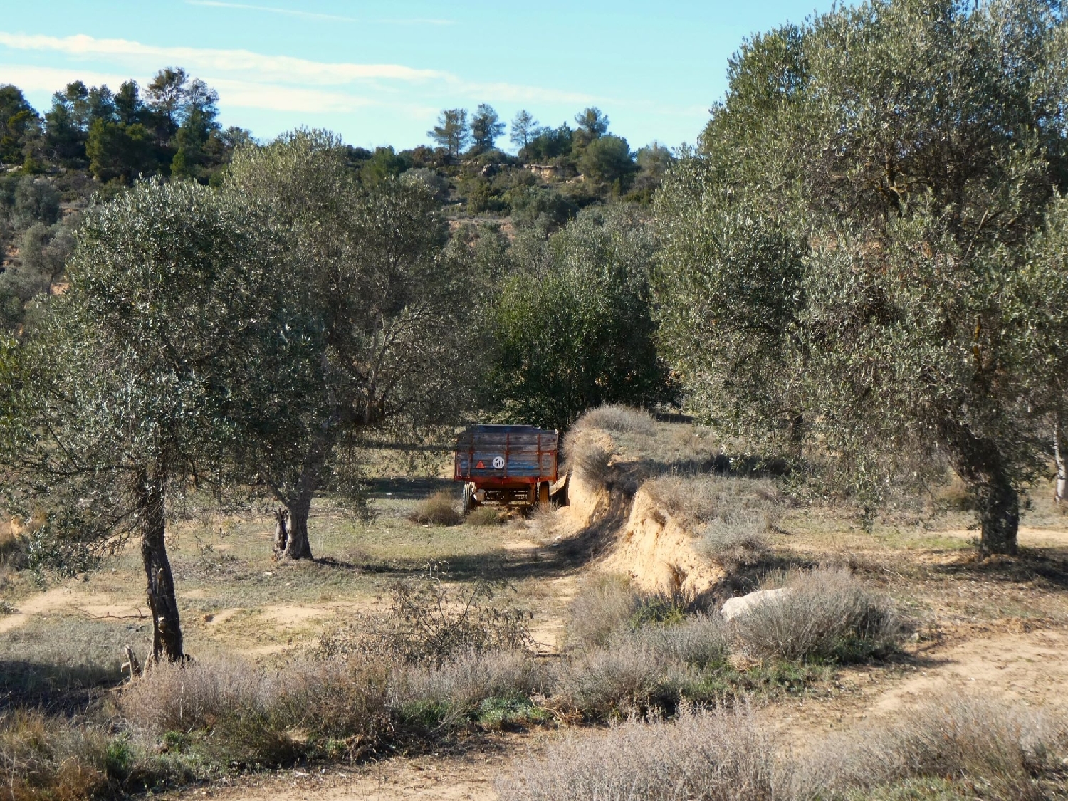  kaufen Landhaus Maella Bajo Aragón-Caspe 4