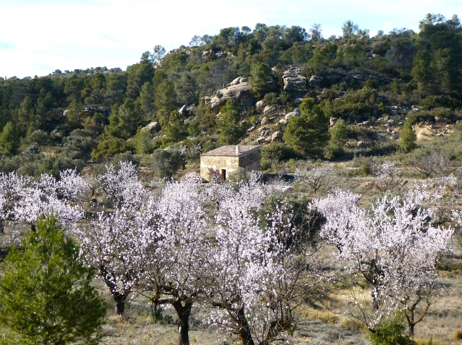  kaufen Landhaus Maella Bajo Aragón-Caspe 2