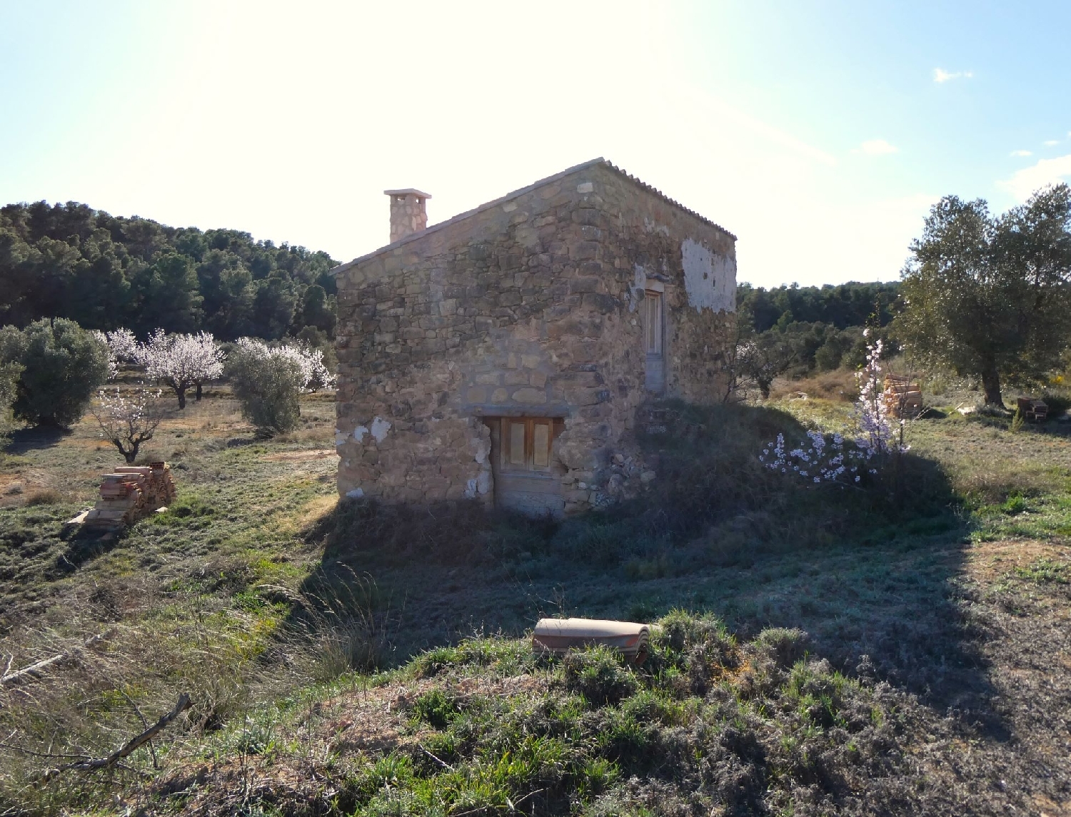  kaufen Landhaus Maella Bajo Aragón-Caspe 4