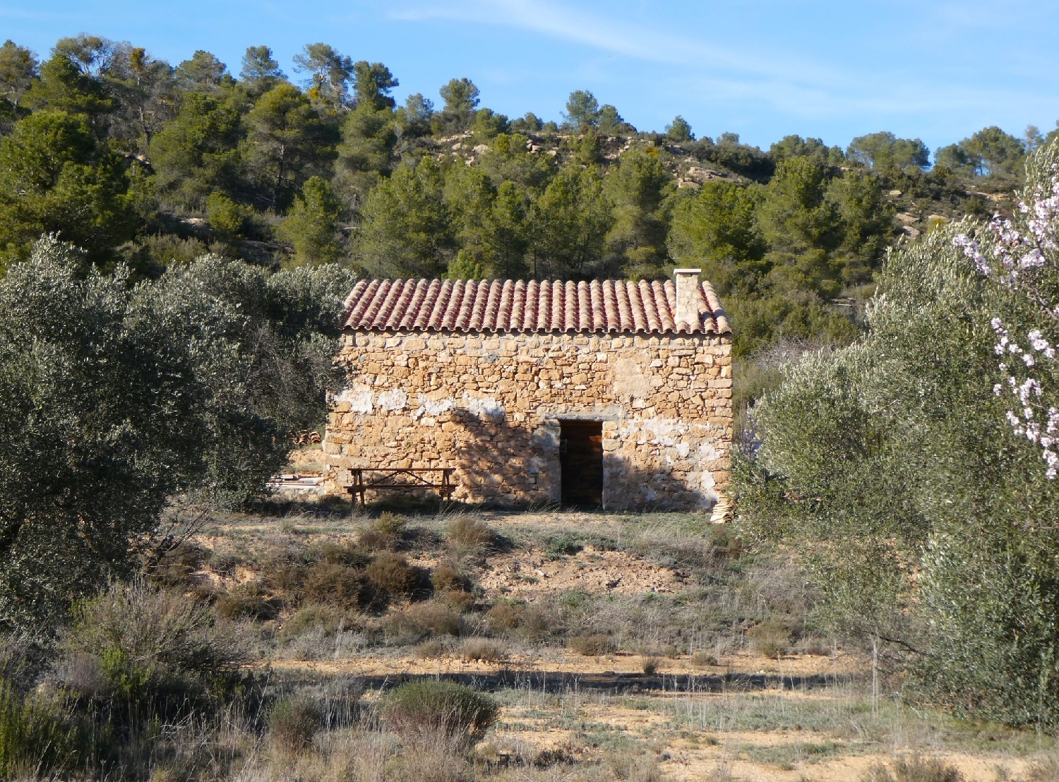  kaufen Landhaus Maella Bajo Aragón-Caspe 1