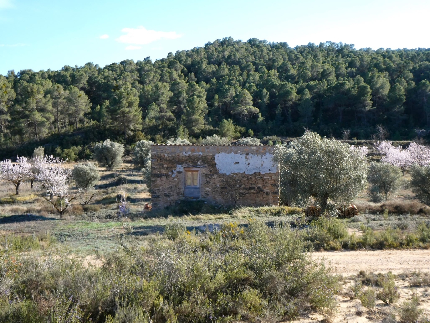  kaufen Landhaus Maella Bajo Aragón-Caspe 3