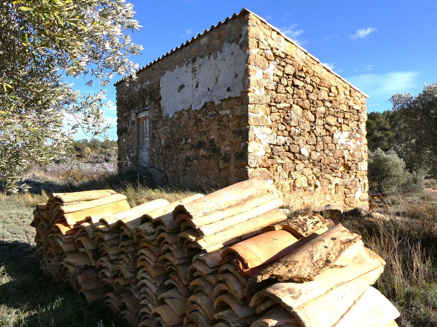  kaufen Landhaus Maella Bajo Aragón-Caspe 7