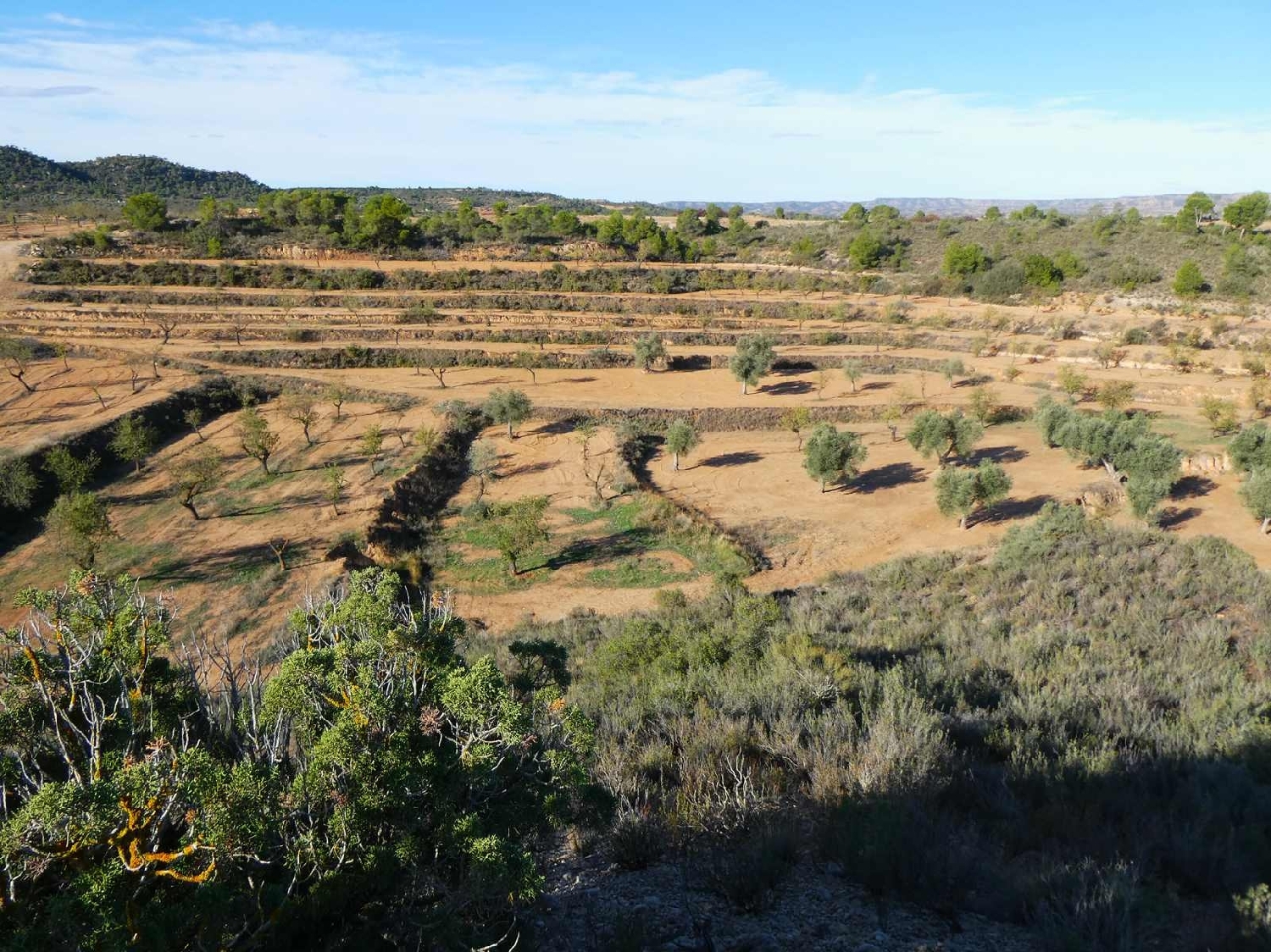  à vendre maison de campagne Maella Bajo Aragón-Caspe 14