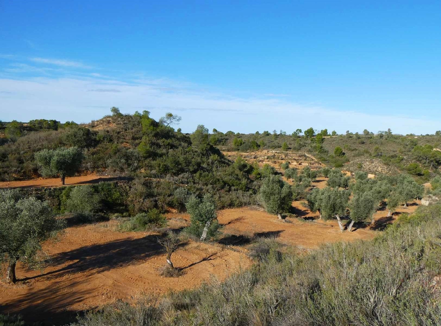  à vendre maison de campagne Maella Bajo Aragón-Caspe 7