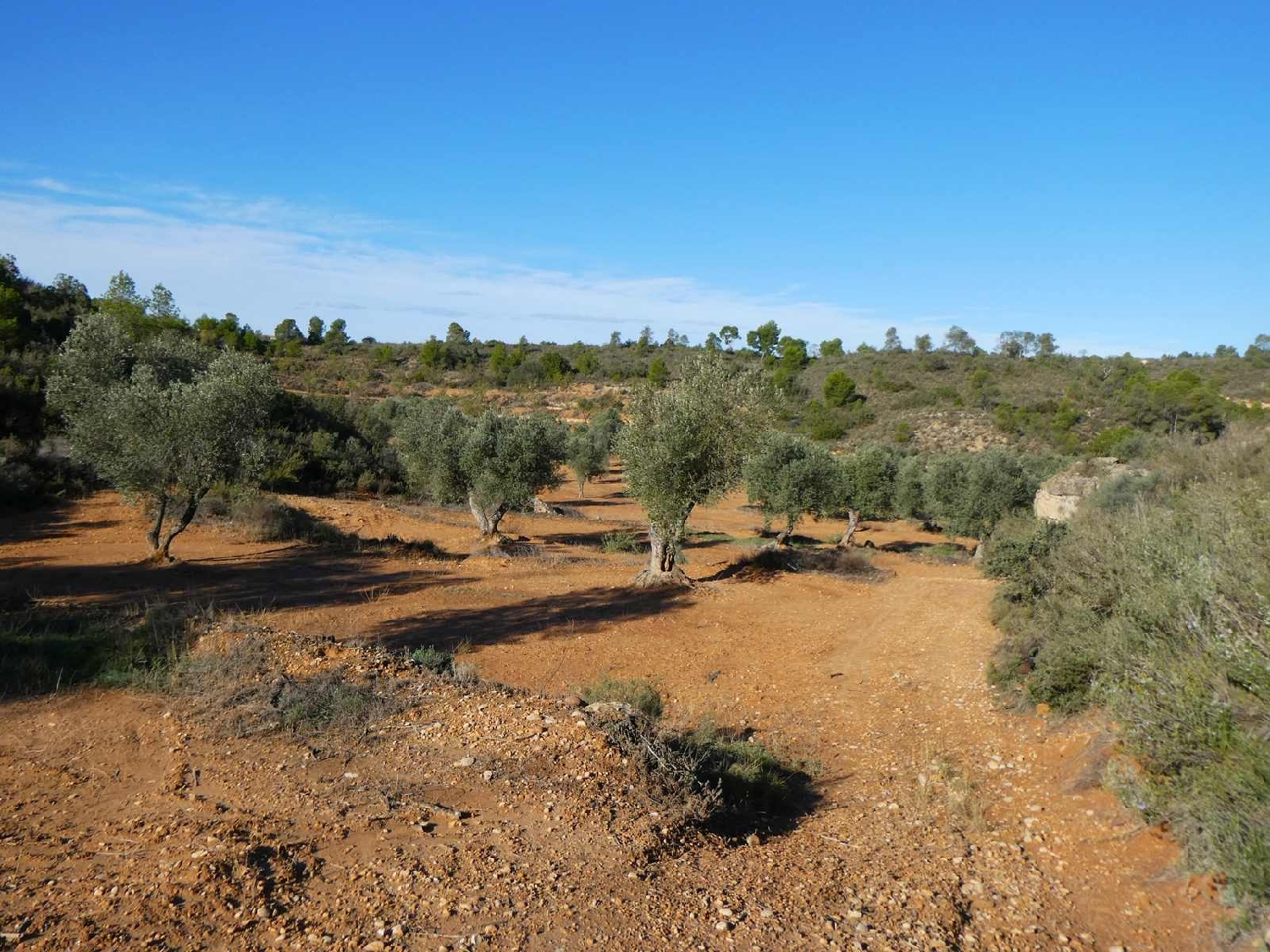  à vendre maison de campagne Maella Bajo Aragón-Caspe 9