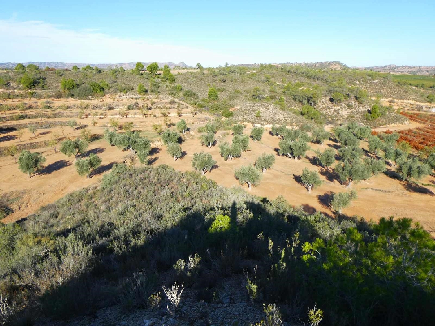  à vendre maison de campagne Maella Bajo Aragón-Caspe 15