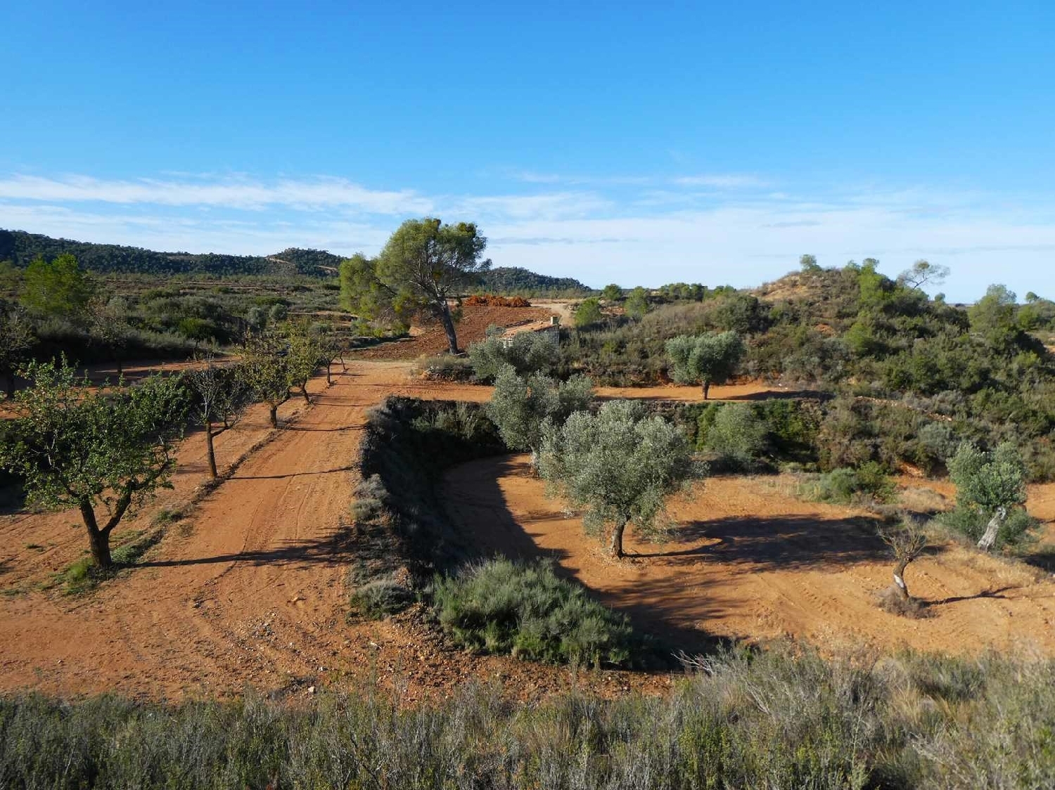  à vendre maison de campagne Maella Bajo Aragón-Caspe 6