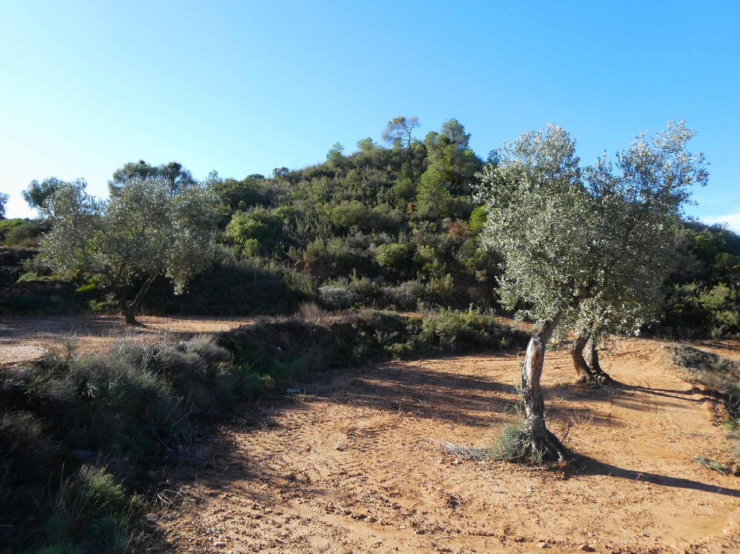  à vendre maison de campagne Maella Bajo Aragón-Caspe 10