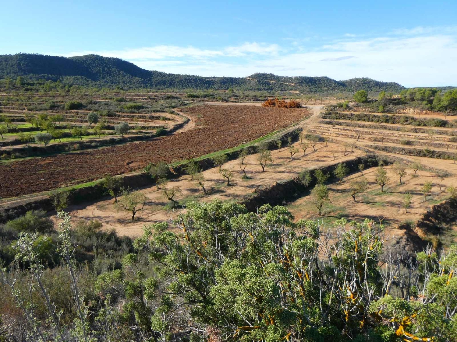  à vendre maison de campagne Maella Bajo Aragón-Caspe 13