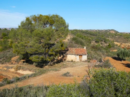 Maella Bajo Aragón-Caspe Landhaus Bild 6271133