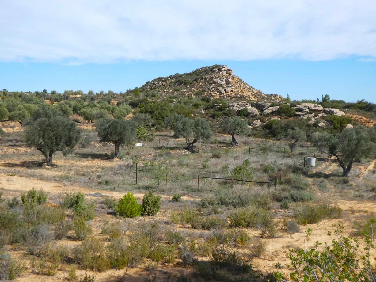 à vendre maison de campagne Maella Bajo Aragón-Caspe 6