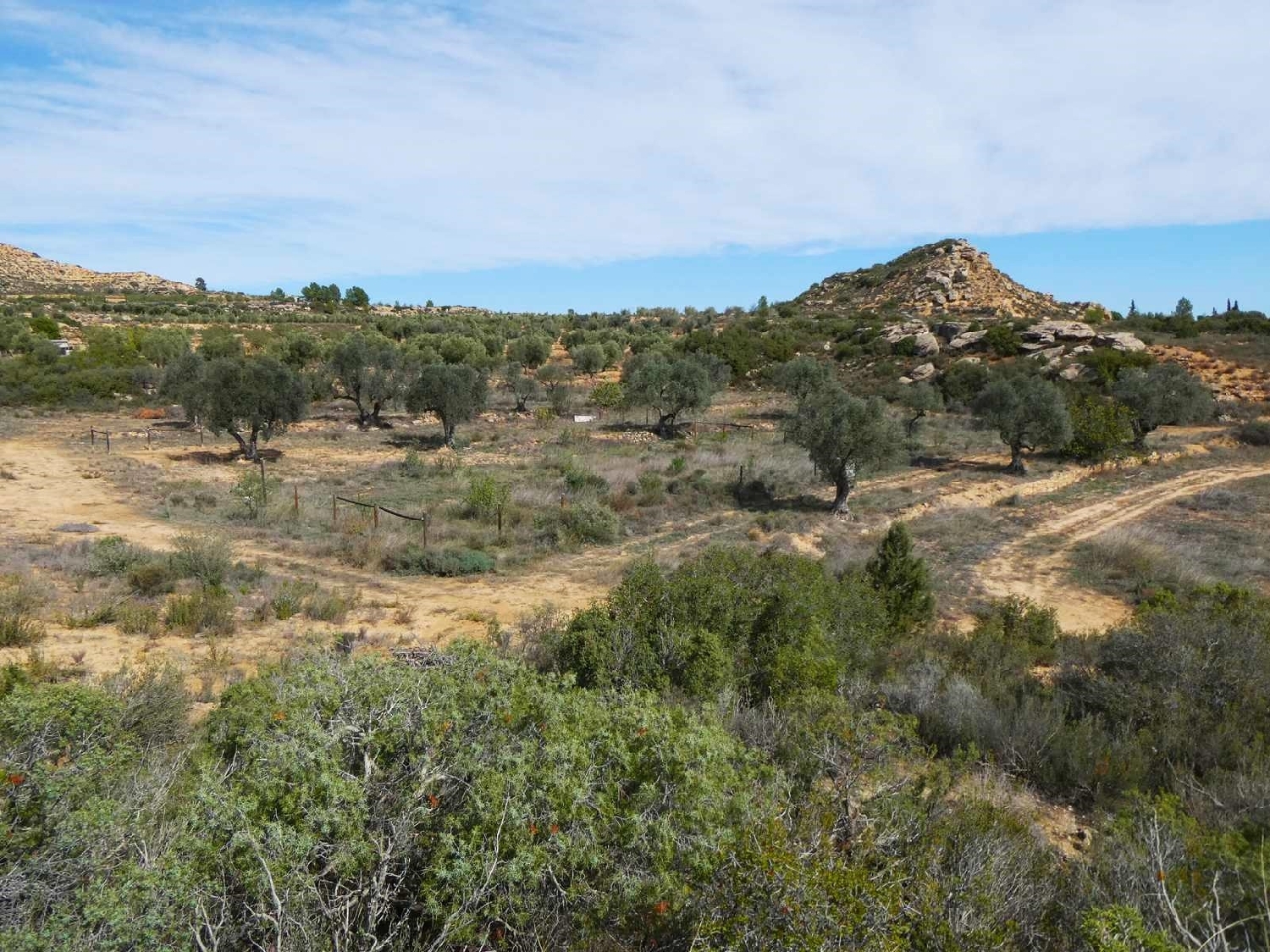  à vendre maison de campagne Maella Bajo Aragón-Caspe 7