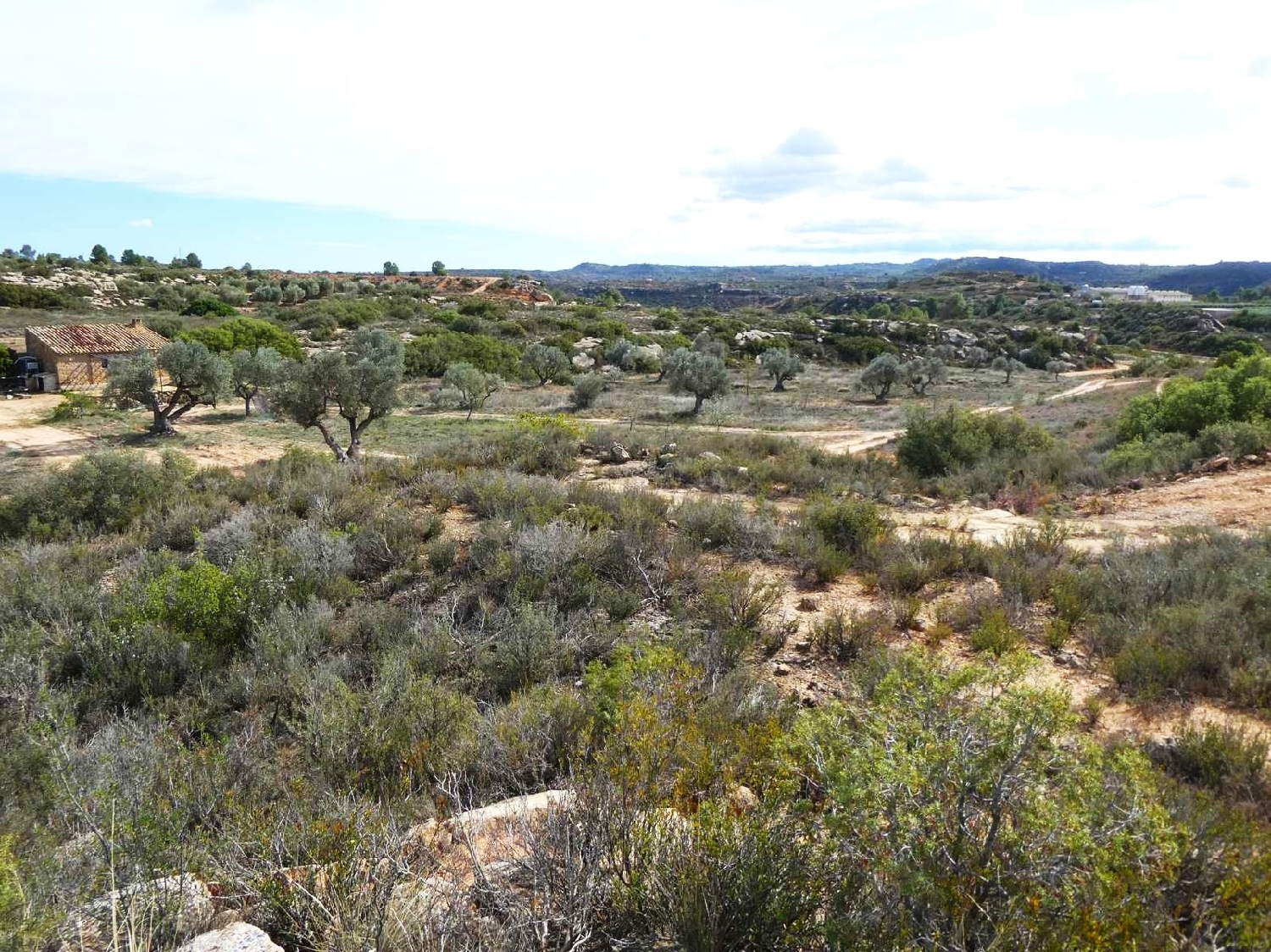  à vendre maison de campagne Maella Bajo Aragón-Caspe 9