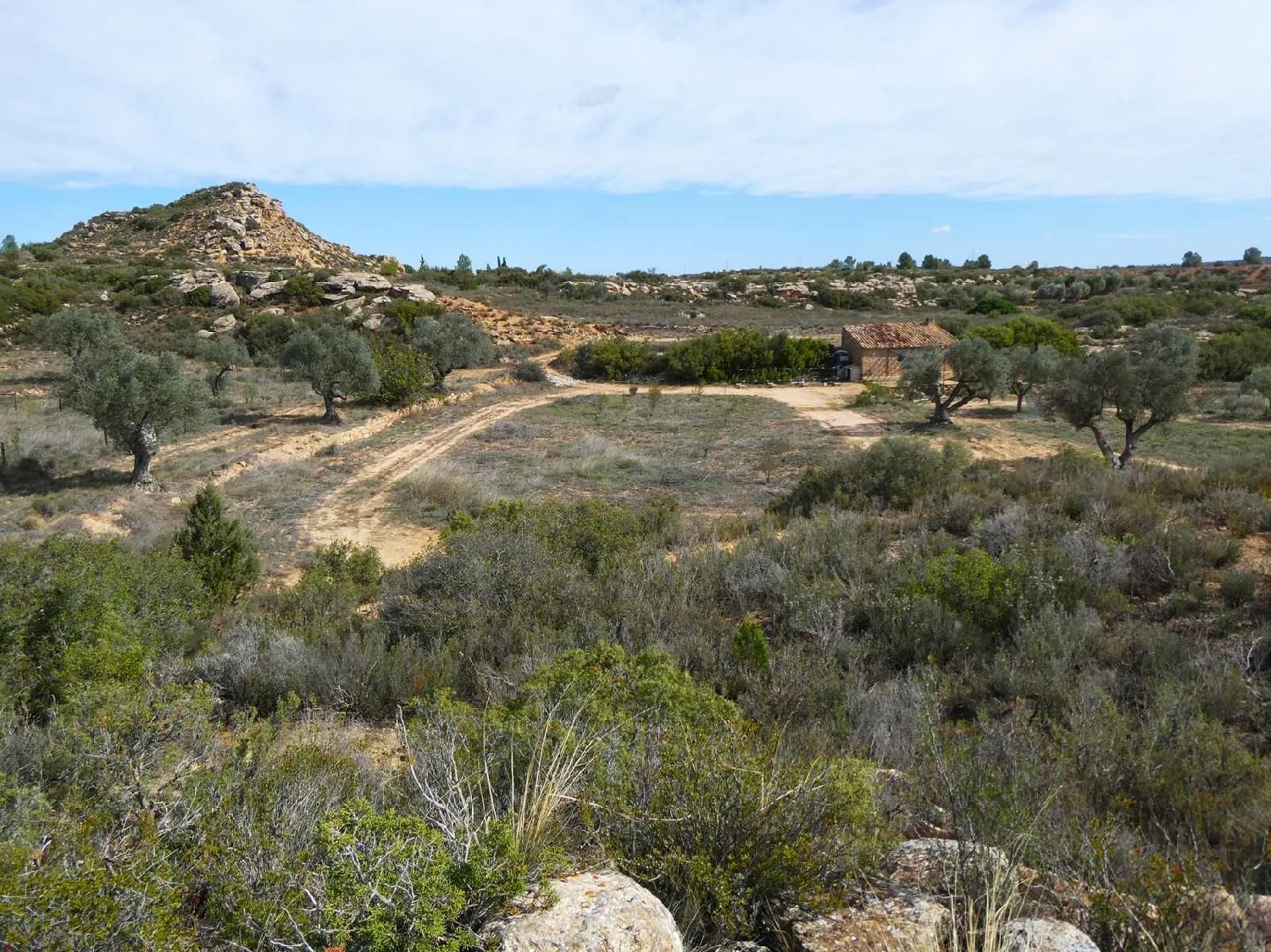  à vendre maison de campagne Maella Bajo Aragón-Caspe 8