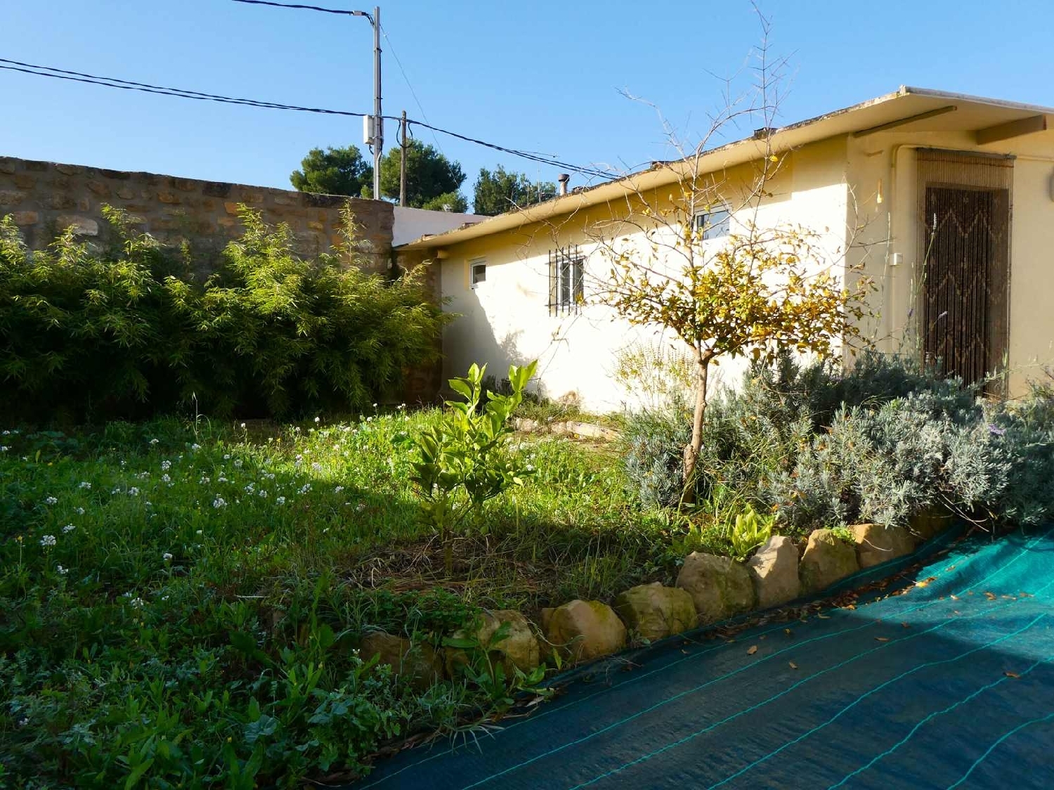  à vendre maison de campagne Maella Bajo Aragón-Caspe 10