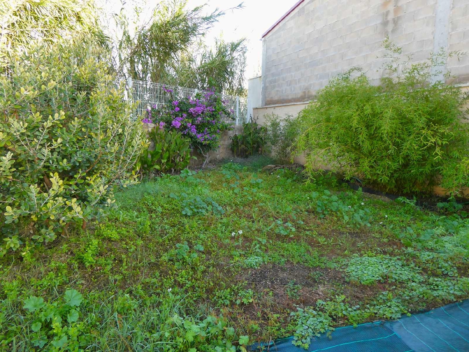  à vendre maison de campagne Maella Bajo Aragón-Caspe 12