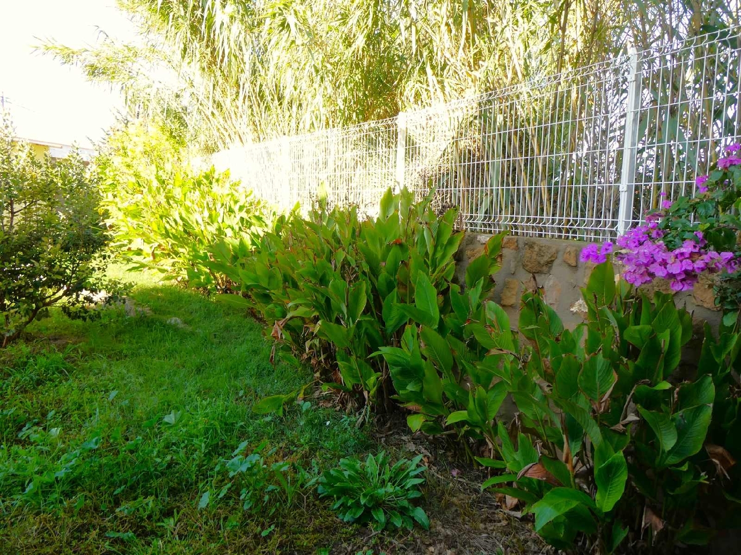  à vendre maison de campagne Maella Bajo Aragón-Caspe 14