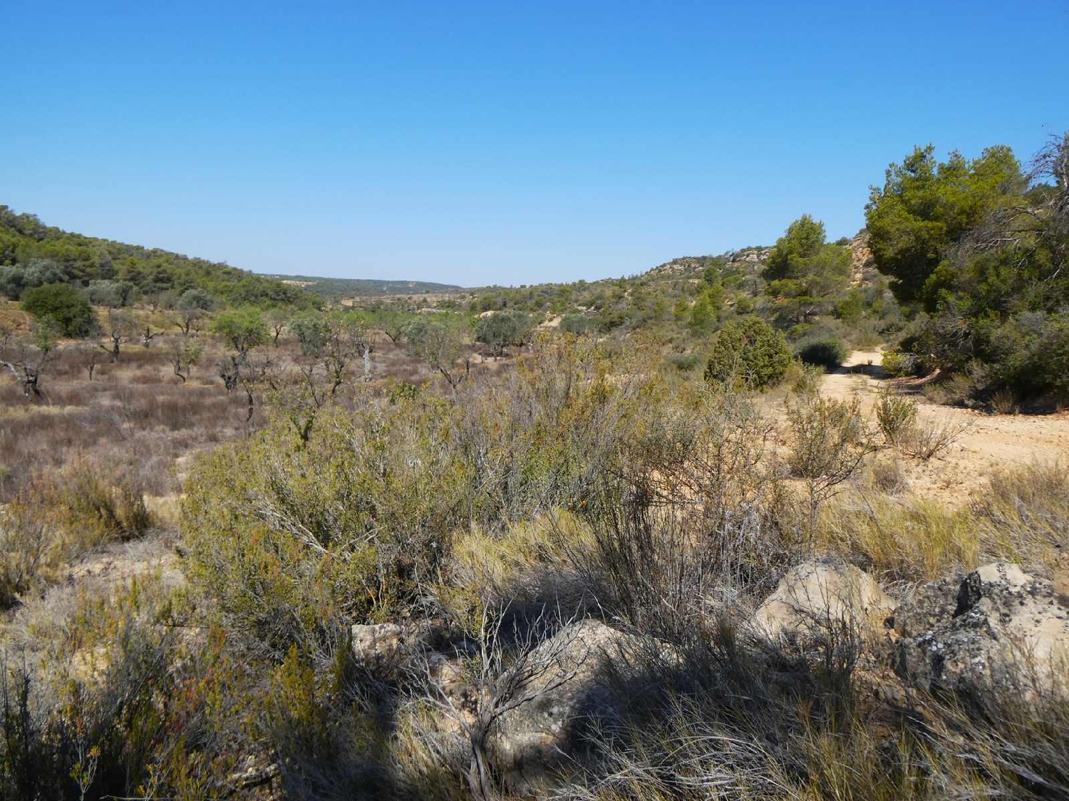  kaufen Landhaus Maella Bajo Aragón-Caspe 13