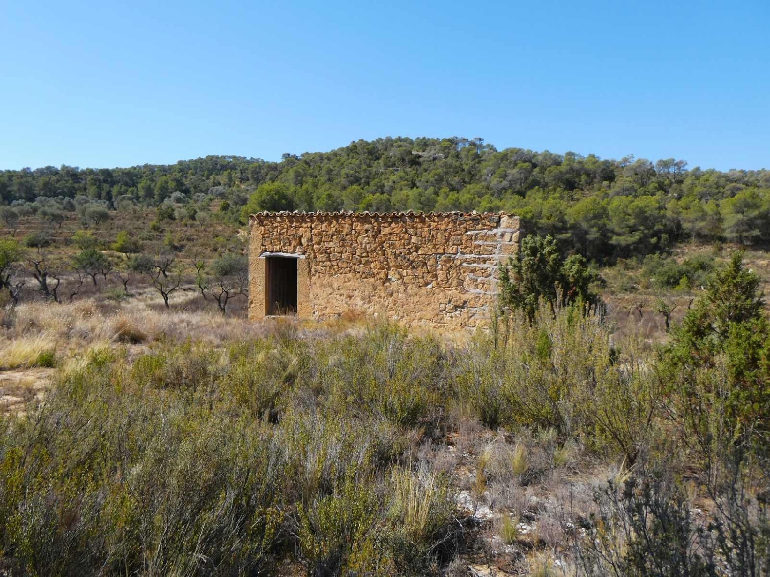  kaufen Landhaus Maella Bajo Aragón-Caspe 11