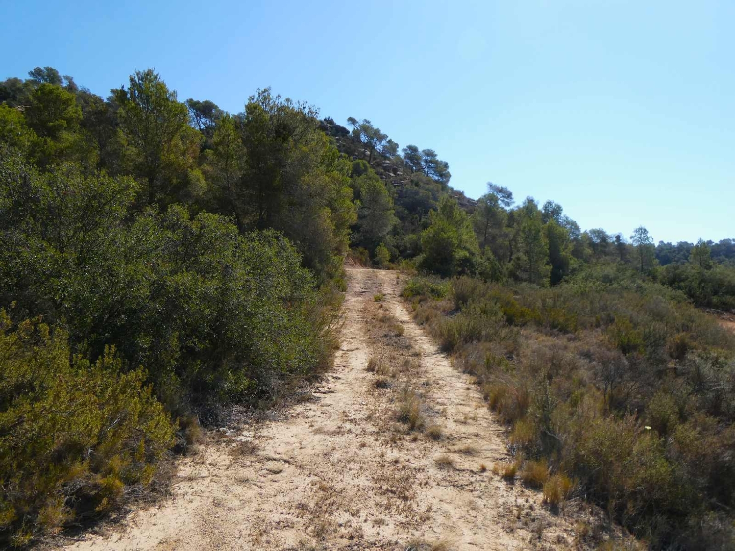  kaufen Landhaus Maella Bajo Aragón-Caspe 2