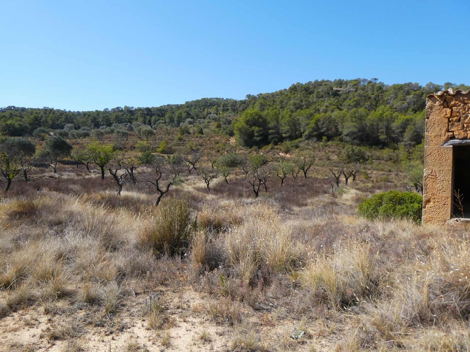  kaufen Landhaus Maella Bajo Aragón-Caspe 10