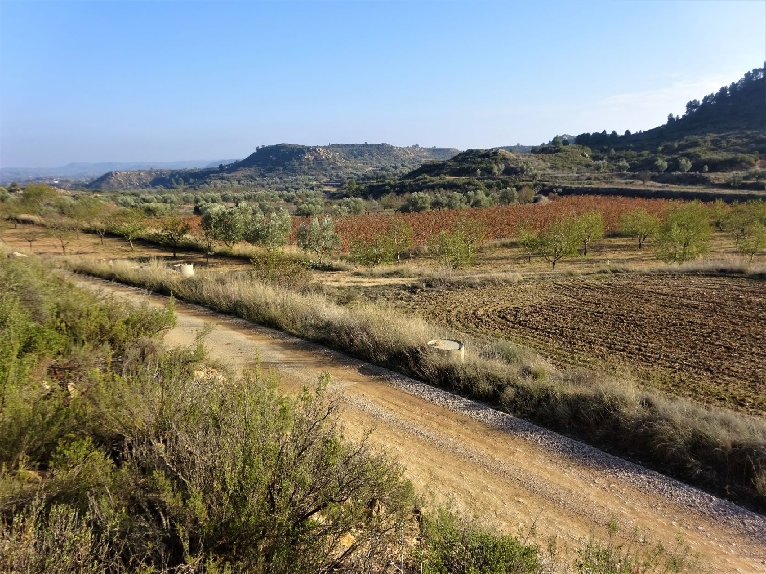  à vendre maison de campagne Maella Bajo Aragón-Caspe 5