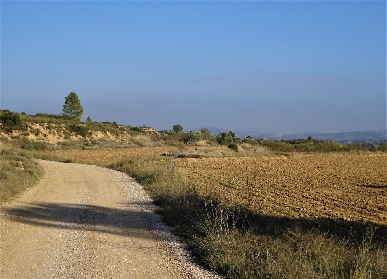  à vendre maison de campagne Maella Bajo Aragón-Caspe 3