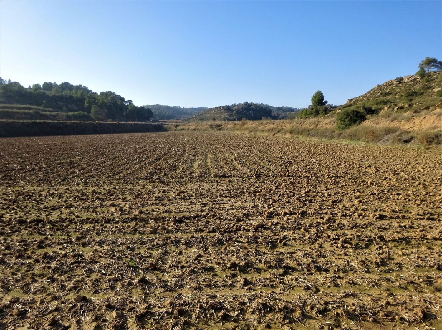  à vendre maison de campagne Maella Bajo Aragón-Caspe 9