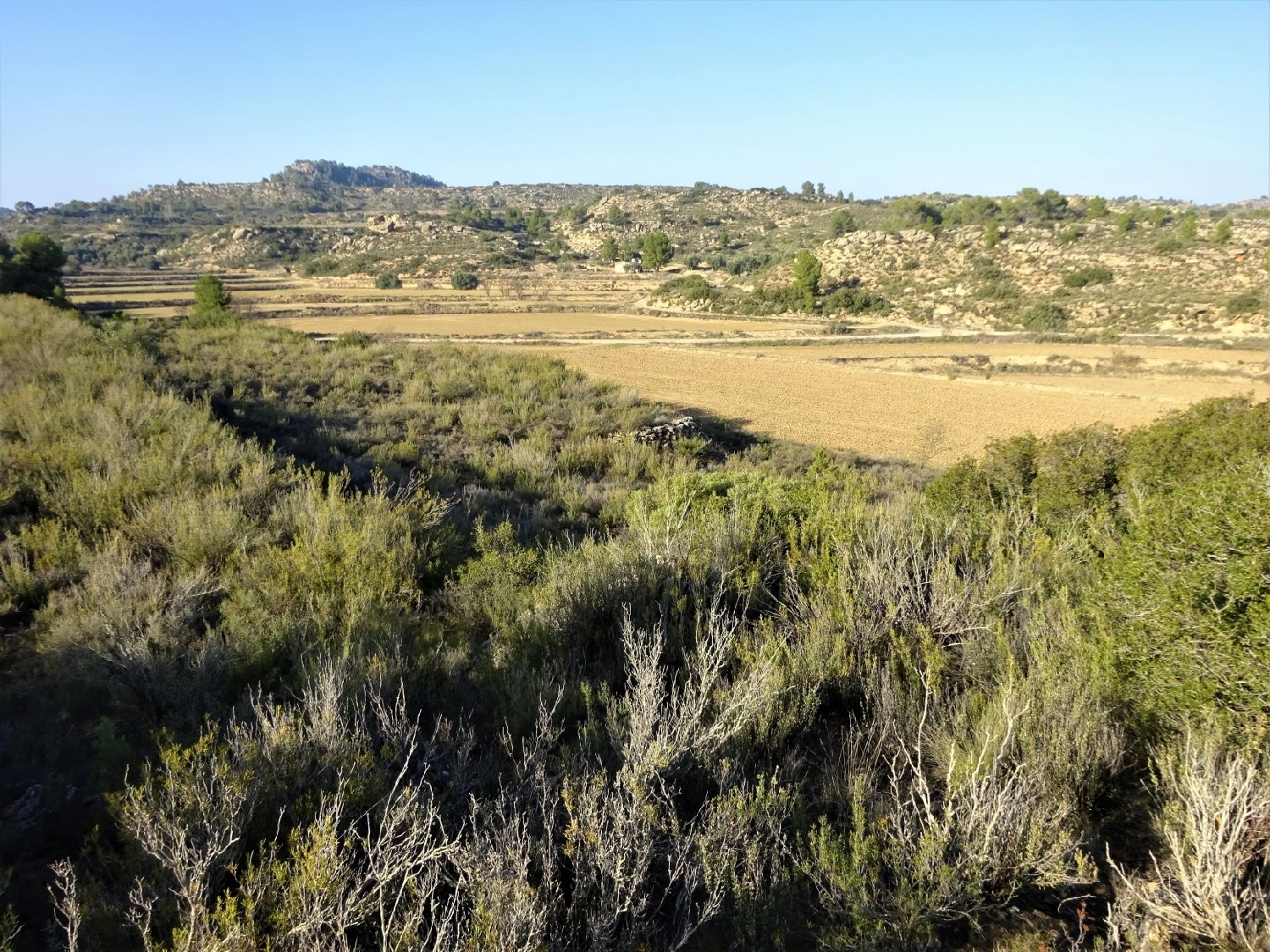  à vendre maison de campagne Maella Bajo Aragón-Caspe 11