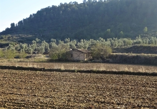 Maella Bajo Aragón-Caspe Landhaus Bild 6271150