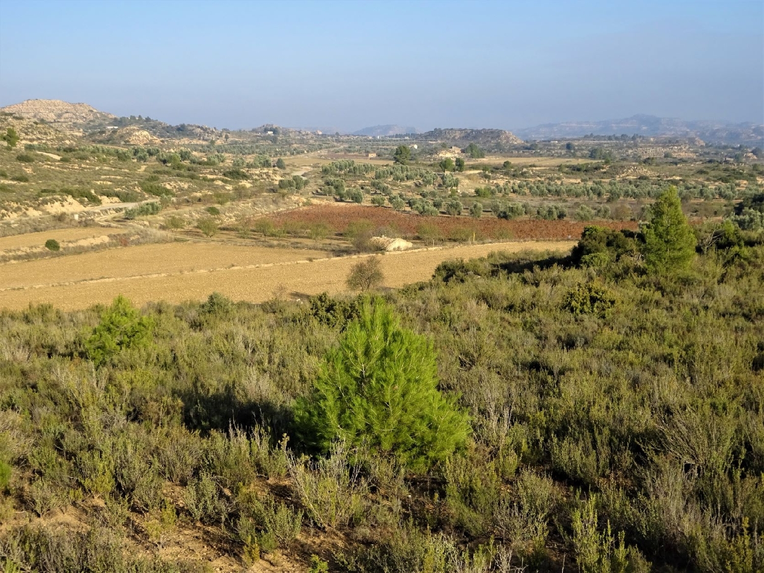  à vendre maison de campagne Maella Bajo Aragón-Caspe 12