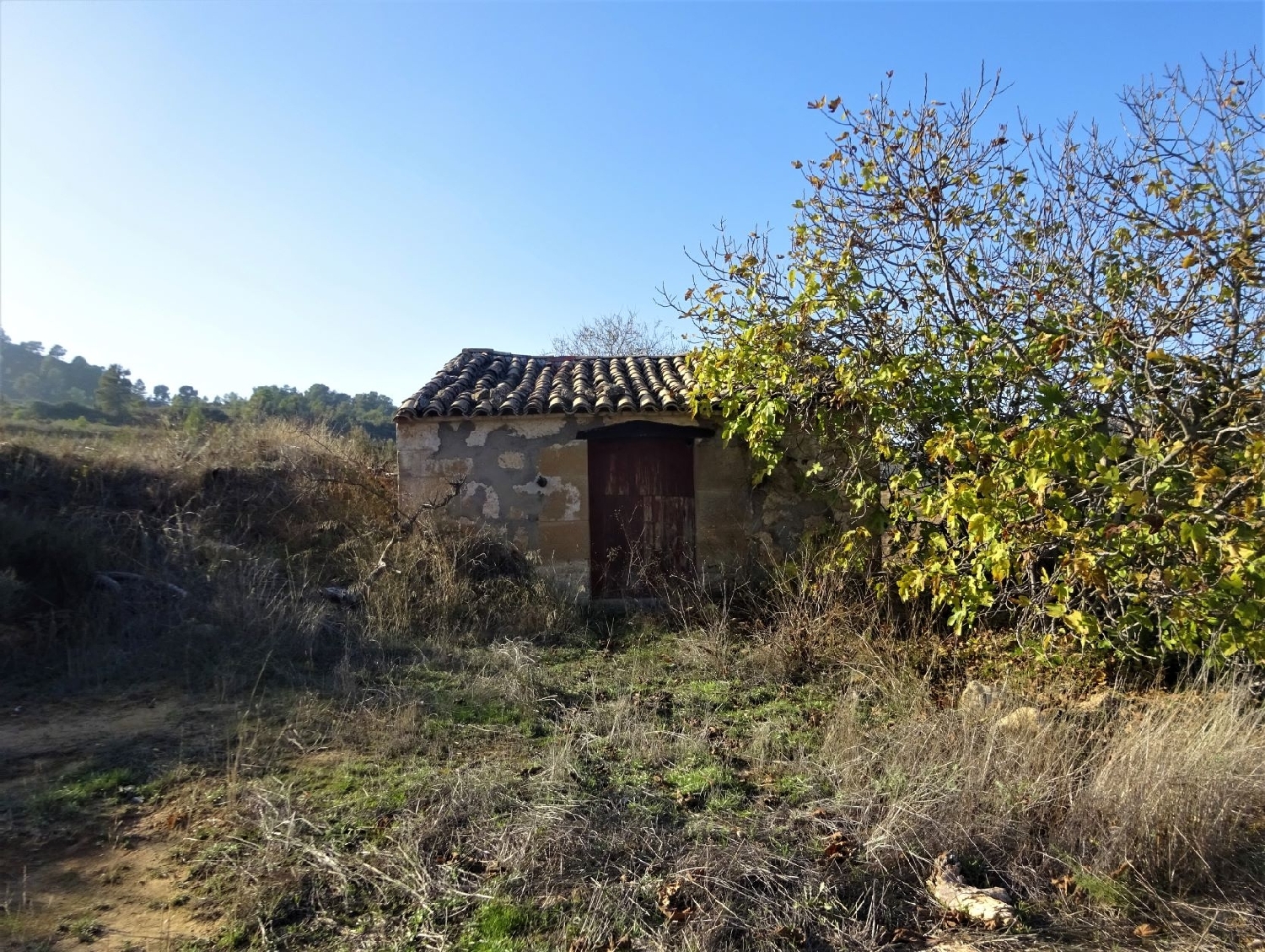  à vendre maison de campagne Maella Bajo Aragón-Caspe 10