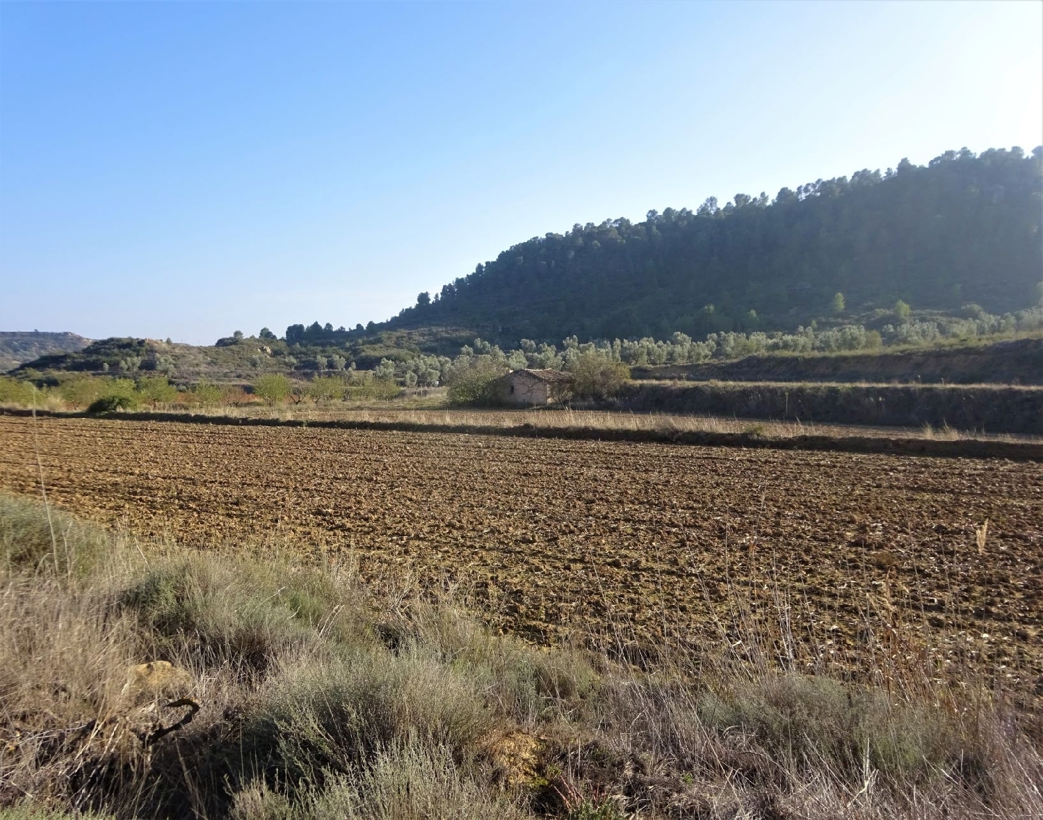 à vendre maison de campagne Maella Bajo Aragón-Caspe 4