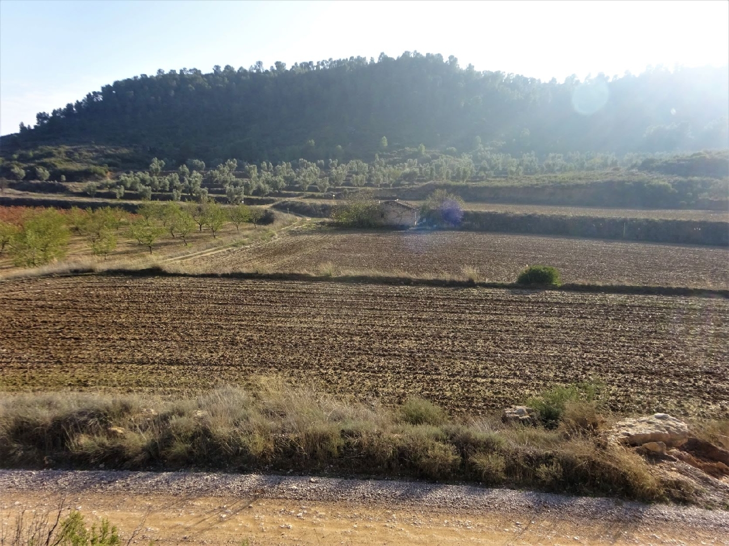  à vendre maison de campagne Maella Bajo Aragón-Caspe 7