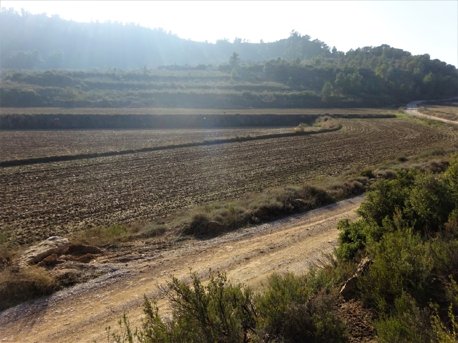  à vendre maison de campagne Maella Bajo Aragón-Caspe 8
