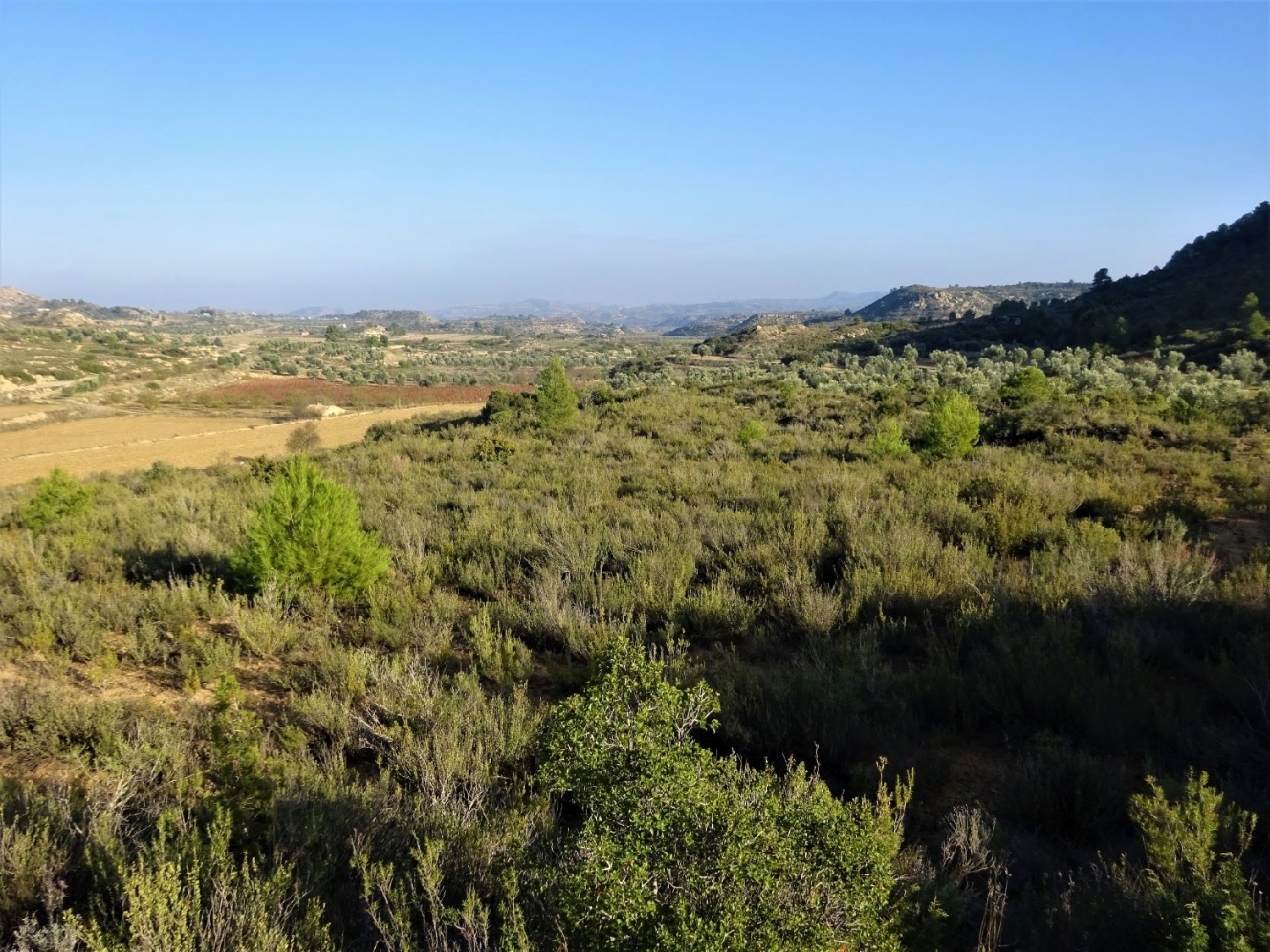  à vendre maison de campagne Maella Bajo Aragón-Caspe 13